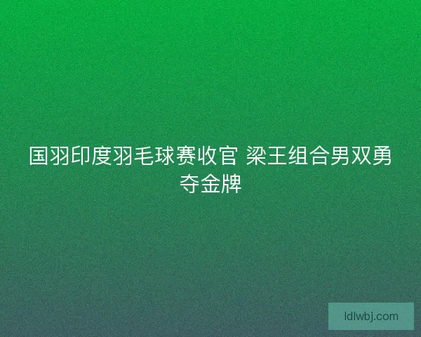 国羽印度羽毛球赛收官 梁王组合男双勇夺金牌 国羽印度羽毛球赛收官 梁王组合男双勇夺金牌